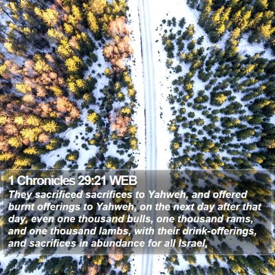 1 Chronicles 29:21 WEB Bible Verse Image