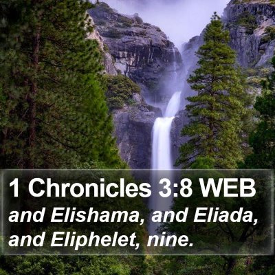 1 Chronicles 3:8 WEB Bible Verse Image