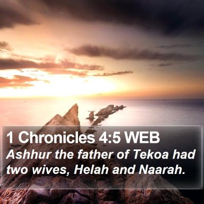 1 Chronicles 4:5 WEB Bible Verse Image