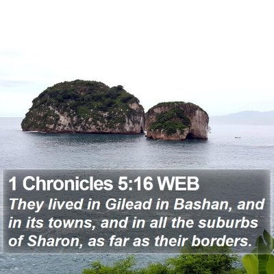 1 Chronicles 5:16 WEB Bible Verse Image