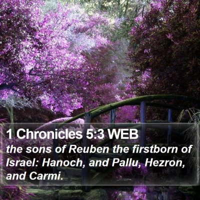1 Chronicles 5:3 WEB Bible Verse Image