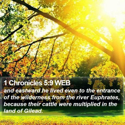 1 Chronicles 5:9 WEB Bible Verse Image