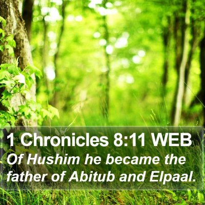 1 Chronicles 8:11 WEB Bible Verse Image