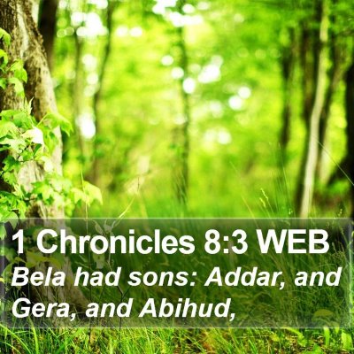 1 Chronicles 8:3 WEB Bible Verse Image