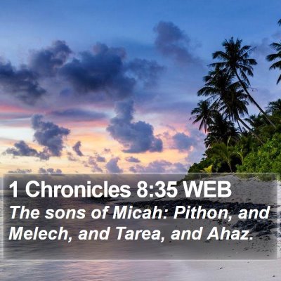1 Chronicles 8:35 WEB Bible Verse Image