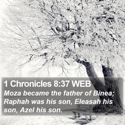 1 Chronicles 8:37 WEB Bible Verse Image