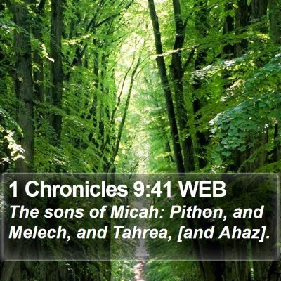 1 Chronicles 9:41 WEB Bible Verse Image