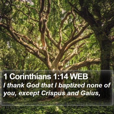 1 Corinthians 1:14 WEB Bible Verse Image