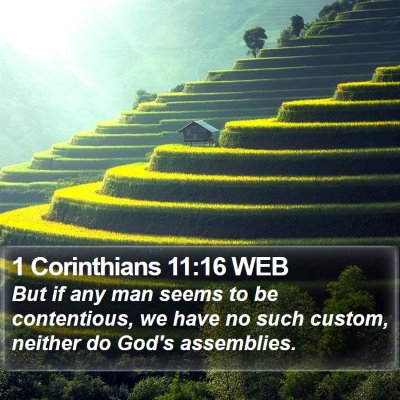 1 Corinthians 11:16 WEB Bible Verse Image