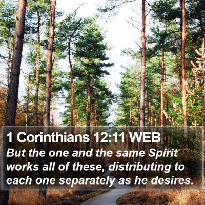 1 Corinthians 12:11 WEB Bible Verse Image