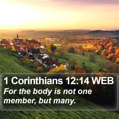 1 Corinthians 12:14 WEB Bible Verse Image