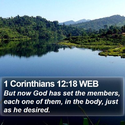 1 Corinthians 12:18 WEB Bible Verse Image