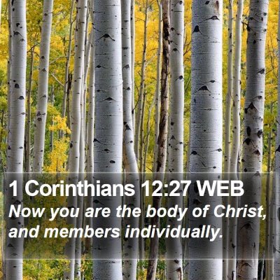 1 Corinthians 12:27 WEB Bible Verse Image