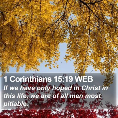 1 Corinthians 15:19 WEB Bible Verse Image
