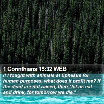 1 Corinthians 15:32 WEB Bible Verse Image