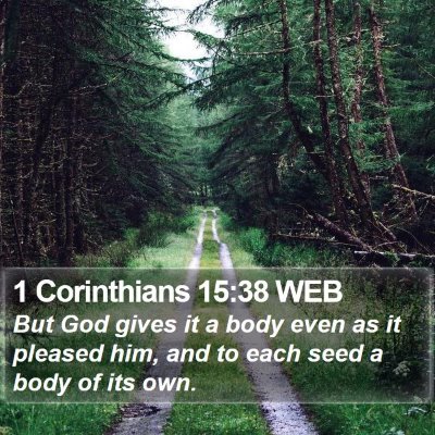 1 Corinthians 15:38 WEB Bible Verse Image