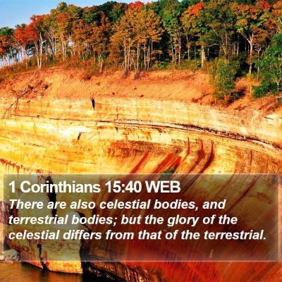1 Corinthians 15:40 WEB Bible Verse Image