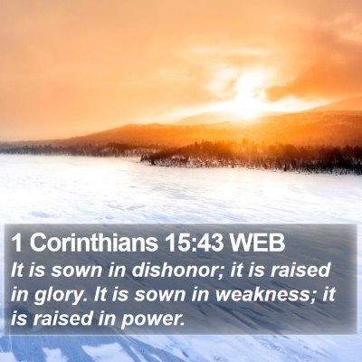 1 Corinthians 15:43 WEB Bible Verse Image