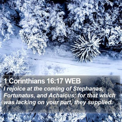 1 Corinthians 16:17 WEB Bible Verse Image