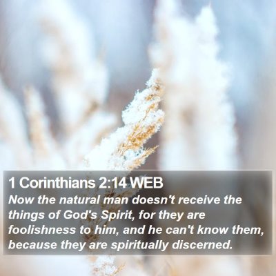 1 Corinthians 2:14 WEB Bible Verse Image