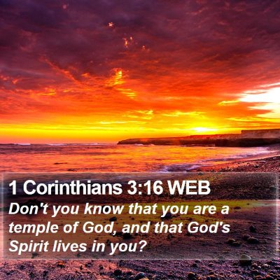 1 Corinthians 3:16 WEB Bible Verse Image
