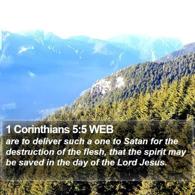 1 Corinthians 5:5 WEB Bible Verse Image