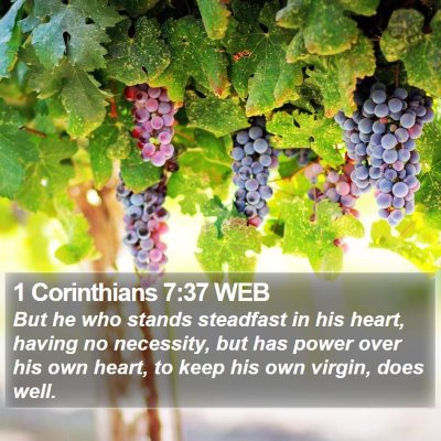 1 Corinthians 7:37 WEB Bible Verse Image