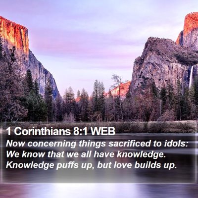1 Corinthians 8:1 WEB Bible Verse Image