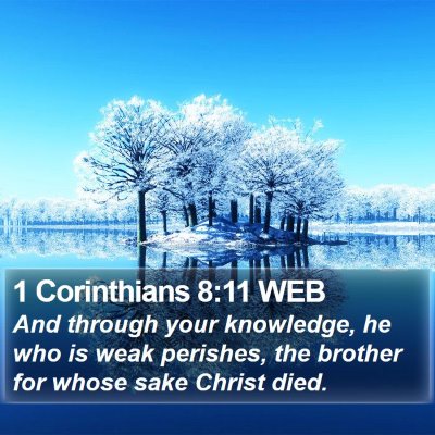 1 Corinthians 8:11 WEB Bible Verse Image