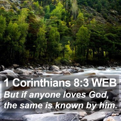 1 Corinthians 8:3 WEB Bible Verse Image
