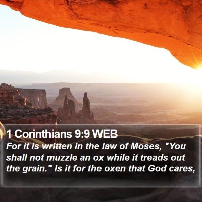 1 Corinthians 9:9 WEB Bible Verse Image