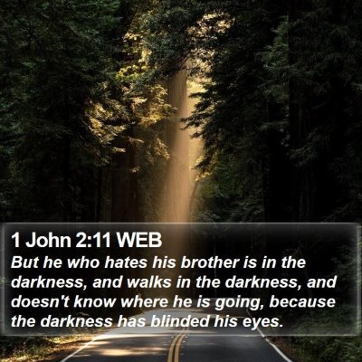 1 John 2:11 WEB Bible Verse Image