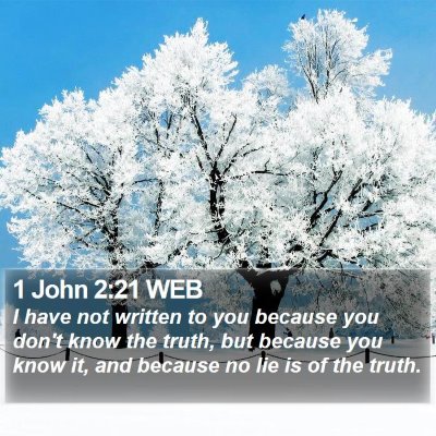 1 John 2:21 WEB Bible Verse Image