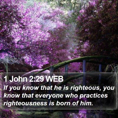 1 John 2:29 WEB Bible Verse Image