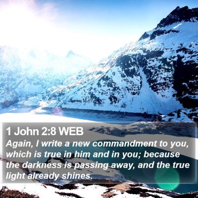 1 John 2:8 WEB Bible Verse Image