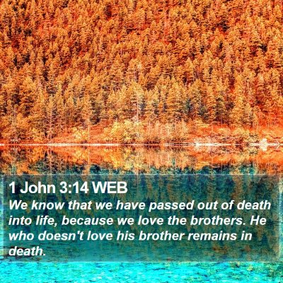 1 John 3:14 WEB Bible Verse Image