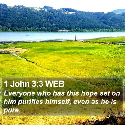 1 John 3:3 WEB Bible Verse Image