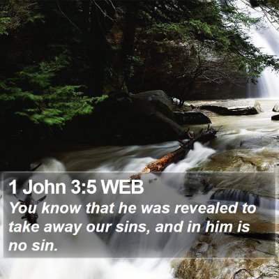 1 John 3:5 WEB Bible Verse Image