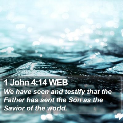 1 John 4:14 WEB Bible Verse Image