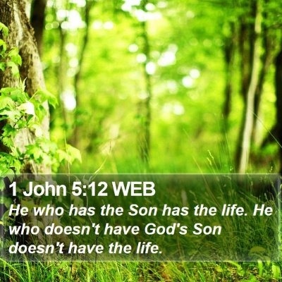 1 John 5:12 WEB Bible Verse Image