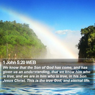 1 John 5:20 WEB Bible Verse Image