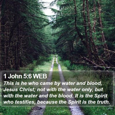 1 John 5:6 WEB Bible Verse Image