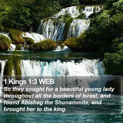 1 Kings 1:3 WEB Bible Verse Image
