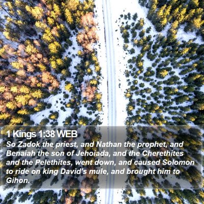 1 Kings 1:38 WEB Bible Verse Image