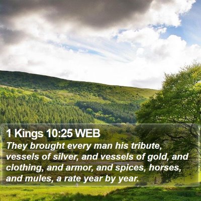 1 Kings 10:25 WEB Bible Verse Image