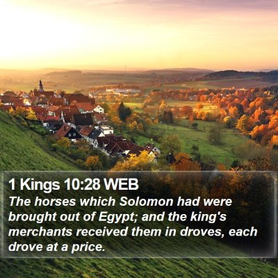 1 Kings 10:28 WEB Bible Verse Image