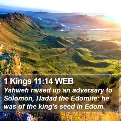 1 Kings 11:14 WEB Bible Verse Image