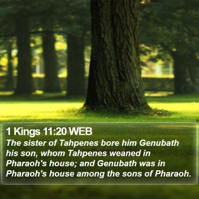 1 Kings 11:20 WEB Bible Verse Image