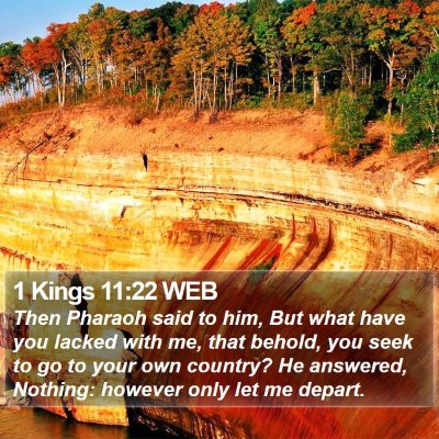 1 Kings 11:22 WEB Bible Verse Image