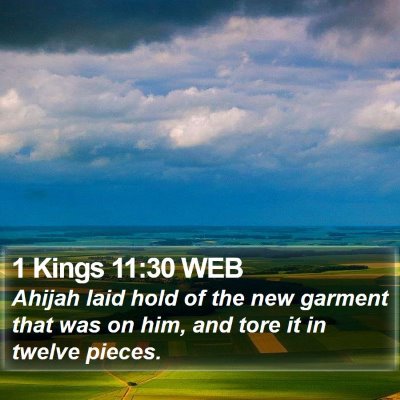 1 Kings 11:30 WEB Bible Verse Image